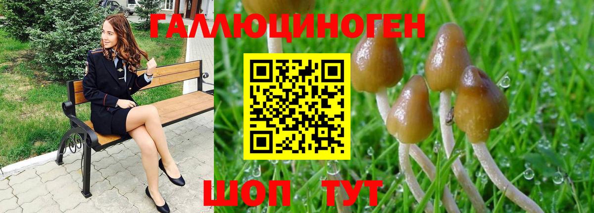 Галлюциногенные грибы Psilocybe  Вход с VPN  Галлюциногенные грибы Psilocybe  Корсаков 